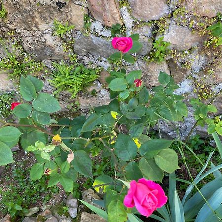 BergesserinFerme Fleurie住宿加早餐旅馆 外观 照片